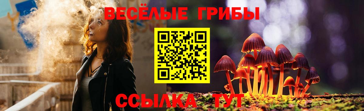 Галлюциногенные грибы MAGIC MUSHROOMS  Вход с VPN  Урюпинск 